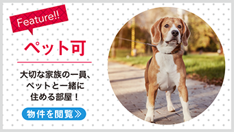 【賃貸】ペット可（相談）物件特集